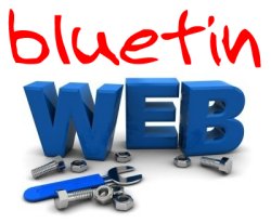 contact bluetinweb today